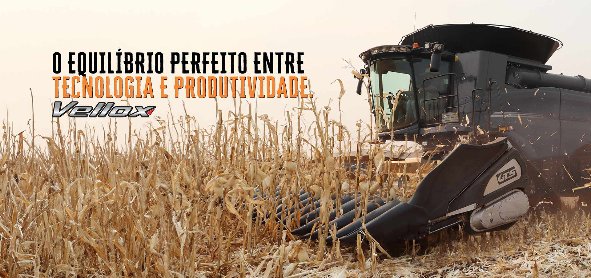 O Equlíbrio Perfeito Entre Tecnologoa e Produtividade - GTS